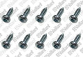 VAILLANT WSS Vis, (x10)