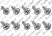 VAILLANT WSS Vis, (x10)