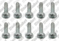 VAILLANT WSS Vis, (x10)