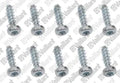 VAILLANT WSS Vis, (x10)