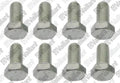 VAILLANT WSS Vis, (x8)