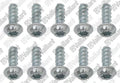 VAILLANT WSS Vis, (x10)