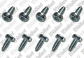 VAILLANT WSS Vis, (x10)