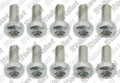 VAILLANT WSS Vis, (x10)