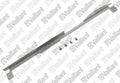 VAILLANT WSS Patte support