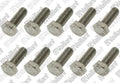VAILLANT WSS Vis, (x10)