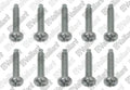 VAILLANT WSS Vis, (x10)