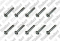 VAILLANT WSS Vis, (x10)
