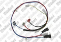 VAILLANT WSS Faisceau, alimentation inverter