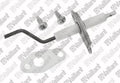 VAILLANT WSS Bougie, d'ionisation