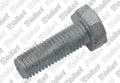 VAILLANT WSS Vis, H M10 - 30 Zn pour support 100L