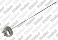 VAILLANT WSS Anode, à courant externe