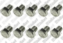 VAILLANT WSS Vis, (x10)