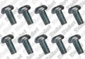 VAILLANT WSS Vis, (x10)