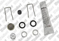 VAILLANT WSS Limiteur