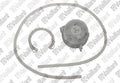 VAILLANT WSS Pressostat