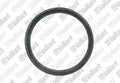 Vaillant WSS joint epdm (dn80 x 16) 80, 80/125 pp