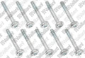 VAILLANT WSS Vis, (x10)
