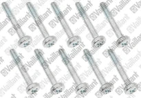 VAILLANT WSS Vis, (x10)