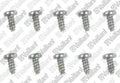 VAILLANT WSS Vis, (x10)