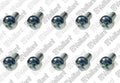 VAILLANT WSS Vis, (x10)