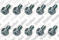 VAILLANT WSS Vis, (x10)