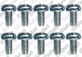VAILLANT WSS Vis, (x10)