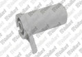 VAILLANT WSS Bouton