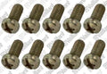 VAILLANT WSS Vis, (x10)