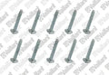 VAILLANT WSS Vis, (x10)