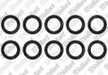 VAILLANT O-ring, (10 st.)