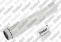 VAILLANT WSS Cache