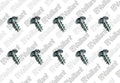 VAILLANT WSS Vis, (x10)