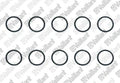 VAILLANT O-ring, (10 st.)