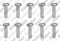 VAILLANT WSS Vis, (x10)