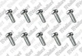 VAILLANT WSS Vis, (x10)