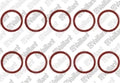 VAILLANT pakkingring v Mag 135/1-3K (set v 10st)