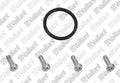 VAILLANT WSS Joint torique (avec vis)