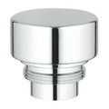 Grohe bouton inverseur