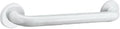 Delabie barre de maintien 32 x 400 mm - blanc nylon