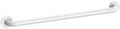POIGNEE D'APPUI MURAL DELABIE 900 - 32 nylon . fixations invisibles