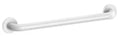 Delabie barre de maintien 32 x 600 mm - blanc nylon