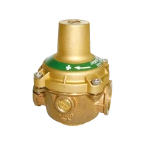 WATTS RDP 11BIS DN20