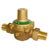 WATTS RDP 11 DO DN15
