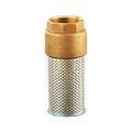 WATTS Clapet de pied crépine 60S DN1"