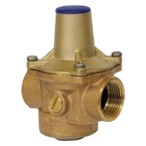 WATTS RDP JUNIOR 7BIS DN32