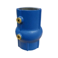 Watts EA253 clapet anti-retour FF 3 x 3 - fonte - agréé Belgaqua