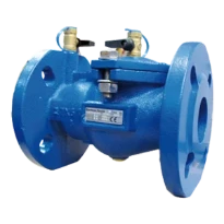 Watts EA453 clapet anti-retour DN80 x DN80 - fonte - agréé Belgaqua