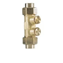 WATTS Clapet antipollution PI 15 Purge+Contrôle 1/2" FF