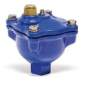 WATTS Purgeur d'air automatique MAXIVENT MXV 25 1" F